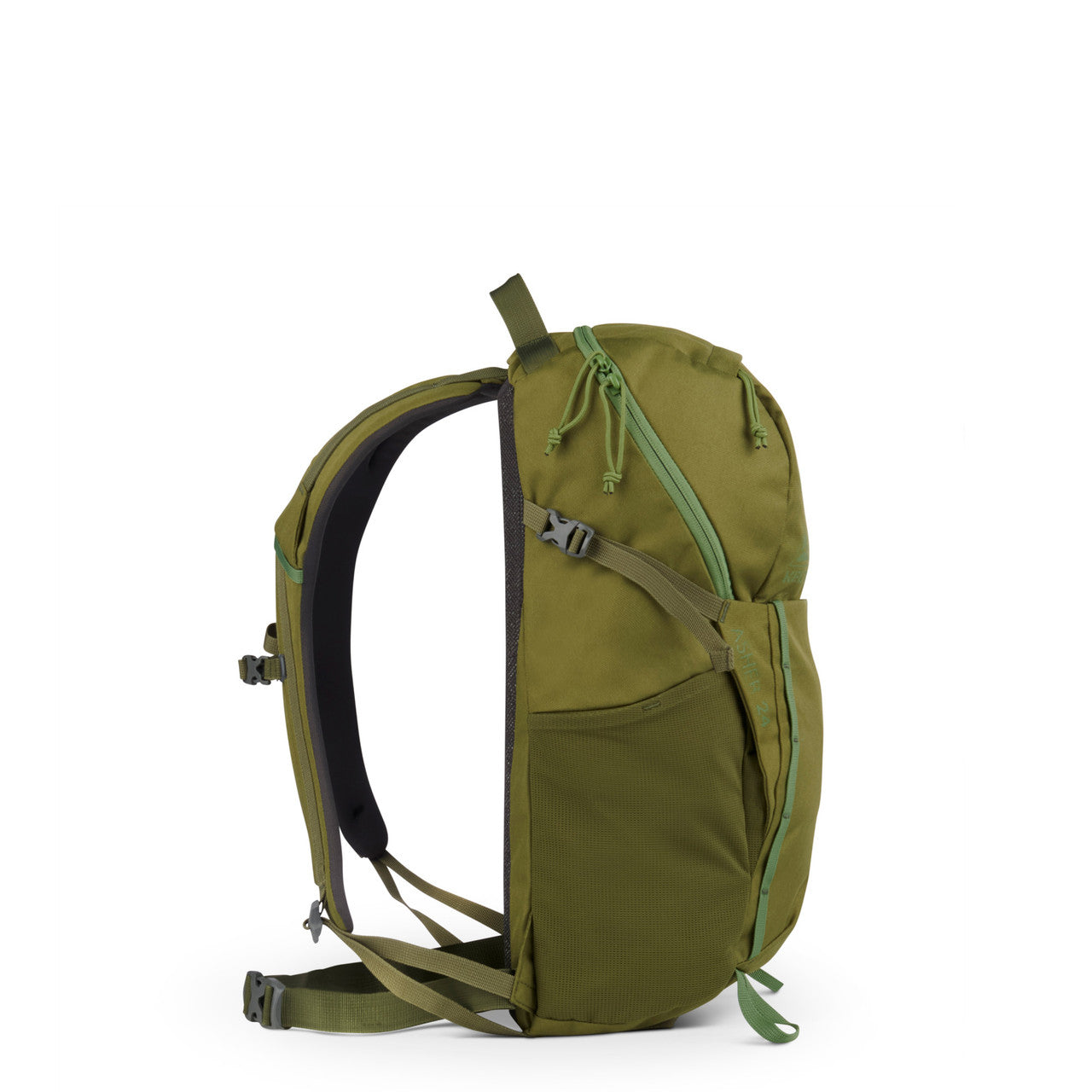 Asher 24 - Image 6